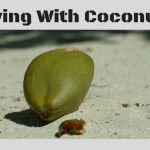 Shaving With Coconut Oil 3