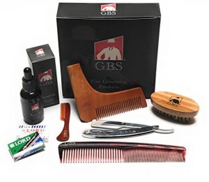 best beard grooming kit 2